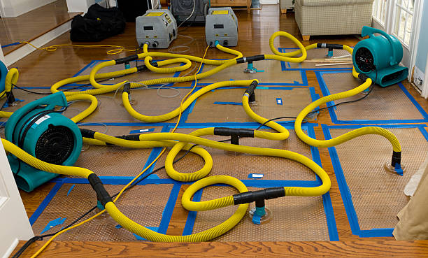Professional Basement Flood Cleanup technician working in Lake City, FL